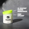 Ghost Monohidrato Creatina Polvo Basics Hombres Mujeres Suplemento Entrenamiento Creapure