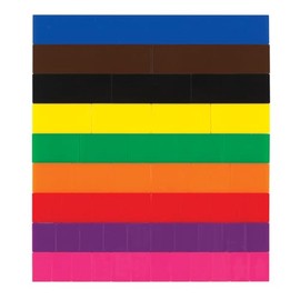EAI Education Fraction Tiles: Blank Set of 51 - Without Tray