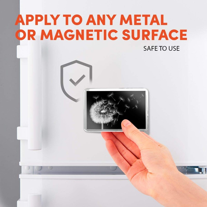 1 x Fridge Magnet - Dandelion Plant #39655