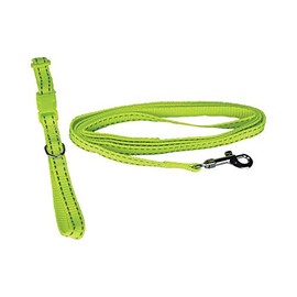 Fancy Pets Correa y Collar Ajustables para Perro Tamaño Extra Chico con Bandas Reflejantes Varios Colores