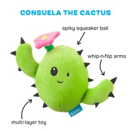 BarkBox 2-in-1 Interactive Plush Puzzle Dog Toys - Squeaky Pet and Puppy Enrichment Toys for Small, Medium, and Large Dogs | Consuela The Cactus