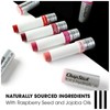 ChapStick Total Hydration Moisture + Tint, Pink Nude Tinted Lip