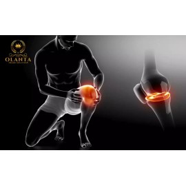 Matrix JOINT MATRIX PRO COMPLEX - supplements for knee and joint health, Joint Support