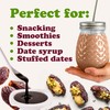 Food to Live California Medjool Dates, 5 Pounds – Soft