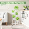 iDavosic.ly Plant Stand Indoor Outdoor, 5 Tier Corner Metal Flower