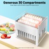 Ice Cream Maker Mold Set, 20/30Pcs Stainless Steel Ice Lolly