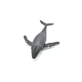 C/O Humpback Whale, Realistic Toy Model Plastic Replica Animal, Kids Gift 12.5" M031