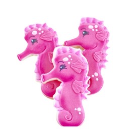 1 Dz. Whimsical Seahorse Cookies! Spirited and Born Navigator! Ocean Lover, Tropical Birthday Themed Party Favors, Princess