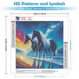 MOGTAA Horse Diamond Art Painting Kits for Adults, Starry Sky DIY 5D Diamond Painting Kits for Adults Beginners, Full Round Drill Diamond Dots Crystal Craft Kits for Home Decor 30x30 cm
