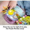 Fisher-Price Baby Toy Purple Monkey Musical Storybook with Lights &