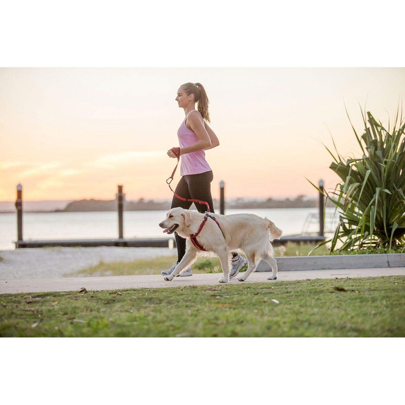 EzyDog Handy Leash - Hands Free Dog Lead Black