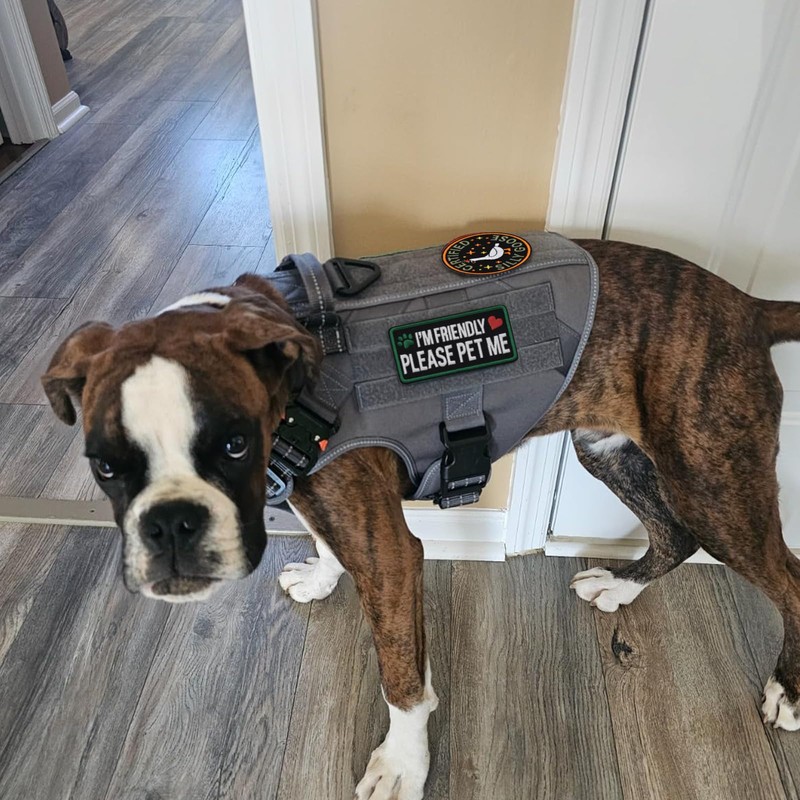 2 PCS Funny Goose Removable Tactical Hook Loop Embroidered Cute