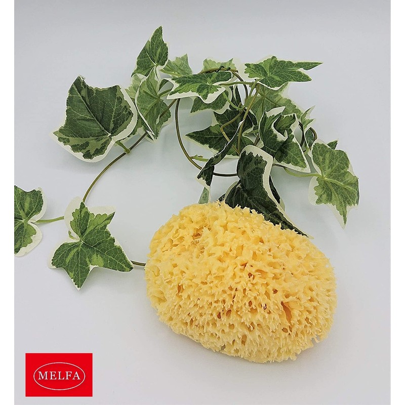 Natural Sea Cotton Body Sponge L
