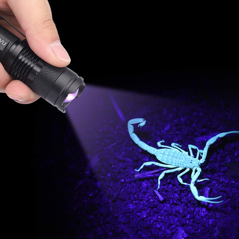 EVTSCAN UV Flashlights 395/365 nM - UV Ultra LED Flashlight