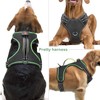 Light Up Dog Harness No Pull LED Dog Harness with