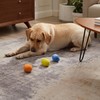 Outward Hound Squeakin' Eggs Plush Replacement Dog Toys - 3