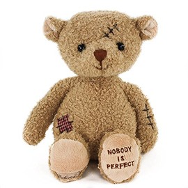 Plush Soft Toy Teddy Bear with Rag, Nobody's Perfect, 25 cm, Brown, Plush Teddy Bear