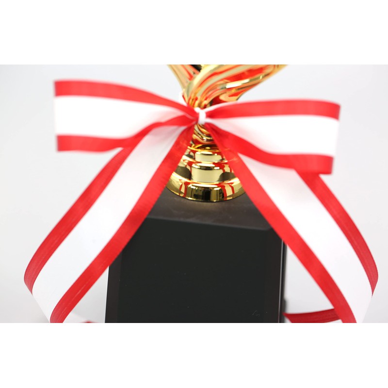 Trophy Winner Height 9.8 inches (25 cm), Prize Product, Reward,