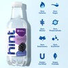 Hint Flavored Water, Blackberry, 16 Fl Oz Single Bottle