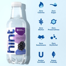 Hint Flavored Water, Blackberry, 16 Fl Oz Single Bottle