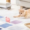 Wloom Cat Ball - Interactive, Self-Moving, Automatic Rolling Toy for