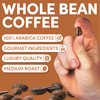 Sarasota Coffee Whole Bean Cinnamon Pecan Brownie | Medium Roast