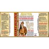 Dynamic Equine Gold UNIQUE HUMAN BODY BUILDER CONCEPT FOR HORSES: