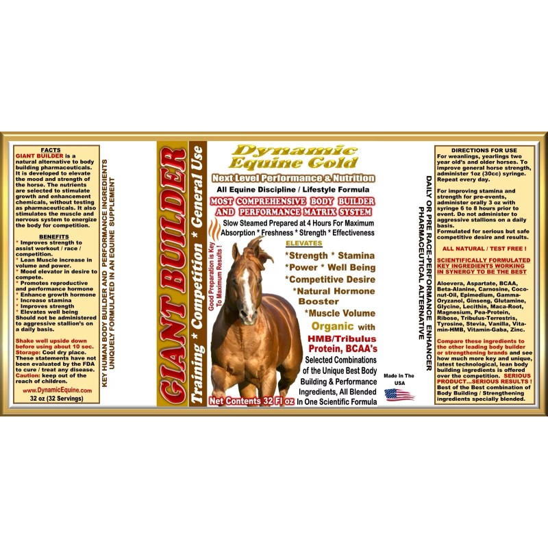 Dynamic Equine Gold UNIQUE HUMAN BODY BUILDER CONCEPT FOR HORSES: