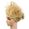Z&X Sinamay Fascinator Pillbox Hats for Women Feather Flower Church