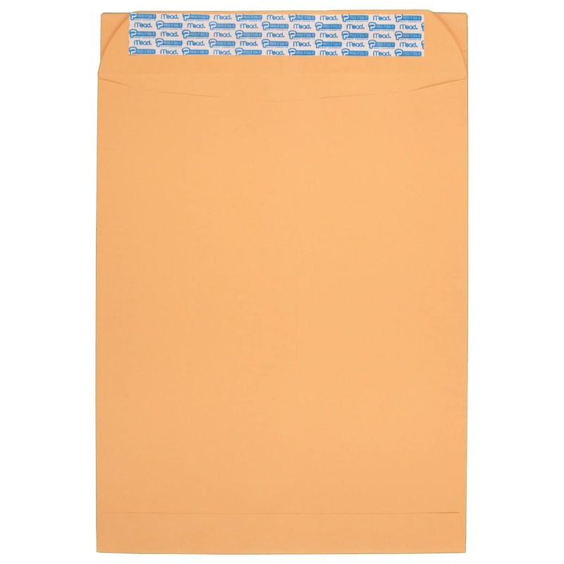 Mead Envelopes, Letter Size 9" x 12", Press-It Seal-It Self