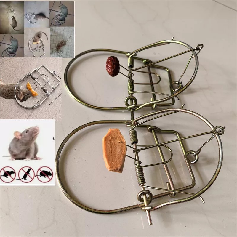 TKB 2Pcs Mouse Trap Rat Trap Rodent Trap Live Catch