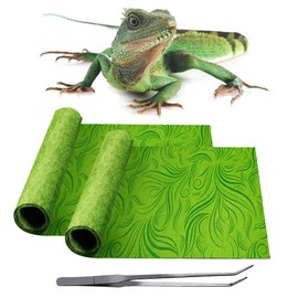 REP BUDDY 2 Pack Reptile Carpet Rainforest Tropical Mat & Reversible Substrate, Terrarium Liner Bedding, for Lizard,Chameleon,Gecko,Snake,Ceratophrys with Tweezers Feeding Tong (20 Gallon(30x12in))