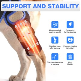 RUXAN Dog Knee Brace, Dog Leg Braces for Back Leg for Support, ACL Hind Leg Cruciate Ligament Knee Brace for Dogs Rear Leg with Torn ACL Keep The Joint Pain and Muscle Sore-M