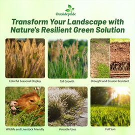 Outsidepride Indian Native Grass Seed - 10 lbs. Perennial, Low Maintenance, Drought-Tolerant Prairie Grass Seed for Wildlife Habitat, Livestock Forage, Ornamental Landscaping & Erosion Control