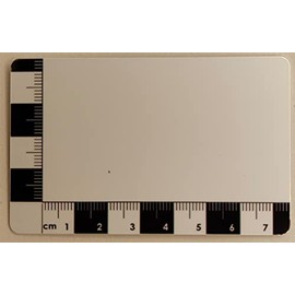 AR Metal Detecting Scale Card