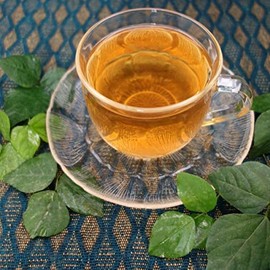 Gymnema Tea (Gymnema Sylvesta Tea) 1.4 oz (40 g) [Postal Compatible Size] Gymnema Tea [100% Indian Gymnema Sylvesta Tea Leaves] Health Tea Gallery