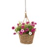 Kouboo Kobo Rattan Hanging Wall Basket and Planter Brown Gray