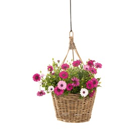 Kouboo Kobo Rattan Hanging Wall Basket and Planter Brown Gray