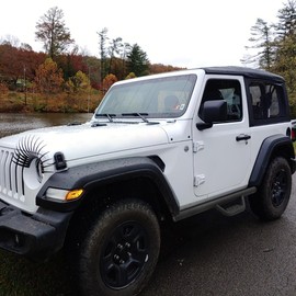 RHOBRA Running Boards Compatible with 2007-2018 Jeep Wrangler JK 2 Door, 4.5 Inches Carbon Steel Drop Down Side Steps, Wrangler Step Bars Nerf Bars.