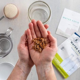 Water Kefir Grains Healthcare Dietary Fitness Supplements