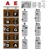 Laminated Mandolin Fretboard Notes & Easy Beginner Chord Chart 11"x17"