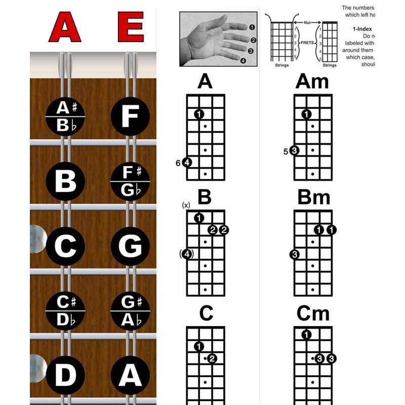 Laminated Mandolin Fretboard Notes & Easy Beginner Chord Chart 11"x17"