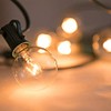 30 Pack of G40 Replacement Bulbs, 5 Watt G40 Globe