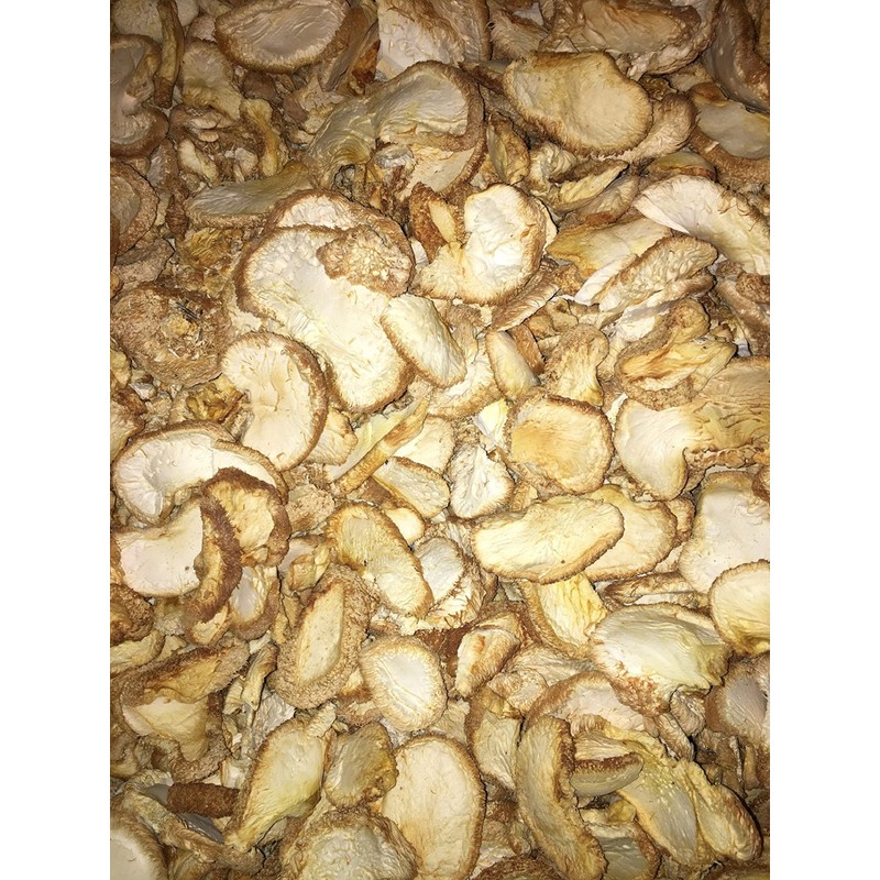 Dried Lion's Mane Mushrooms - 16 Ounce (1 lb)