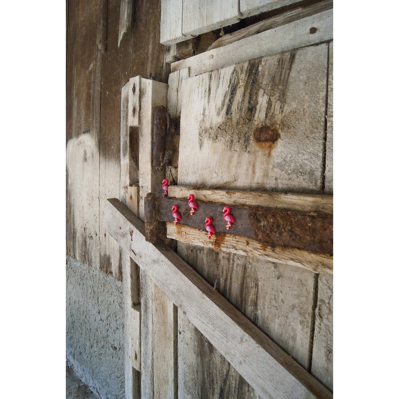 Trendform® Assorted Popular Shape Office Magnets-10.73 (Set of Home Accessories),