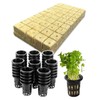 S.fields.inc Rock Wool Block Hydroponics Pot, Set of 50, Seedling