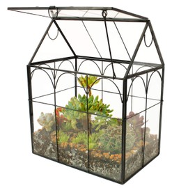 ELEGANTLIFE Glass Geometric Plant Terrarium,Succulent & Air Planter for Home Garden Office Decoration (Black House)