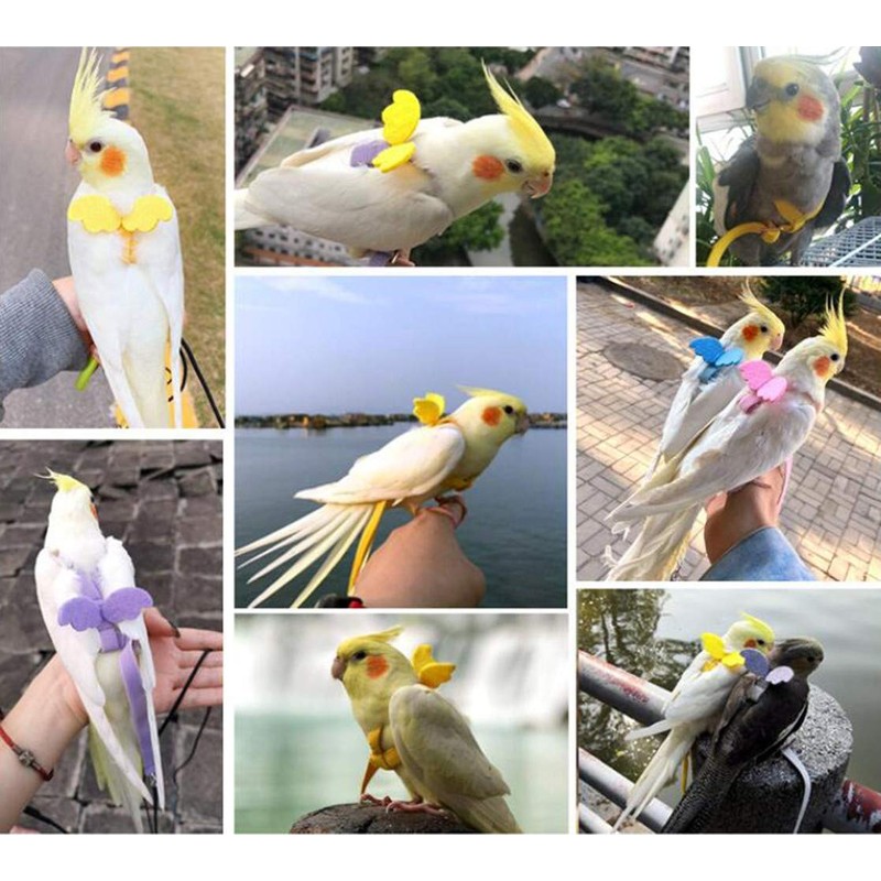 Cyblinia Adjustable Bird Harness Leash Parrot Flying Rope Straps Outdoor