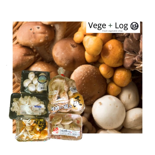 Manager's Special Selection Mushroom Set, 5 Types, For Gifts and Gifts, Made in Japan, Daikoku Hon Shimeji Mushrooms, Large Shiitake Mushrooms, Large Nameko, White Mushroom, White Mushroom, White