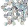100Pcs Fretboard Dots Natural Abalone Shell Bright Color Round Guitar